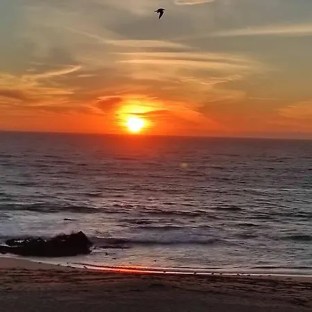 Ocean View Апартаменты *