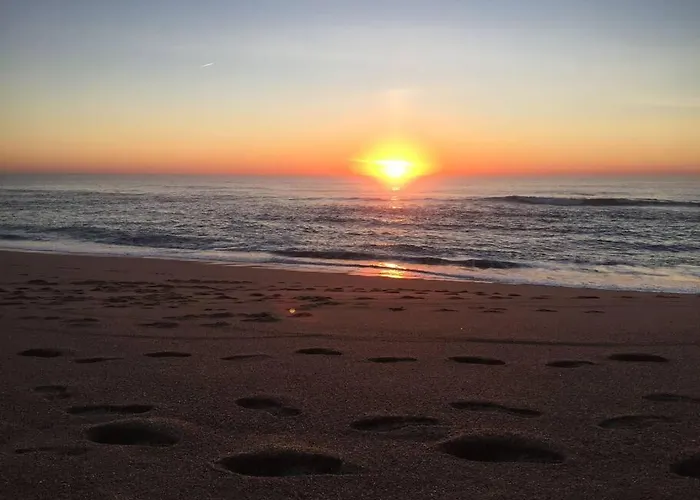 Ocean View Lejlighed