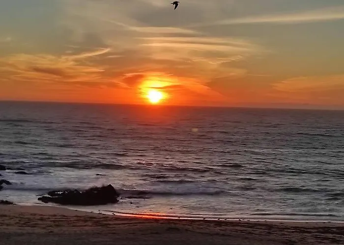 Ocean View Lejlighed *